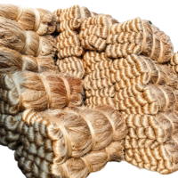 Raw Jute  (The Golden Fiber)